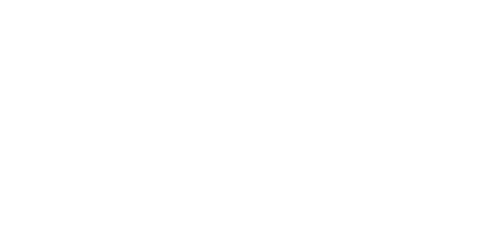 magesteek-logo white